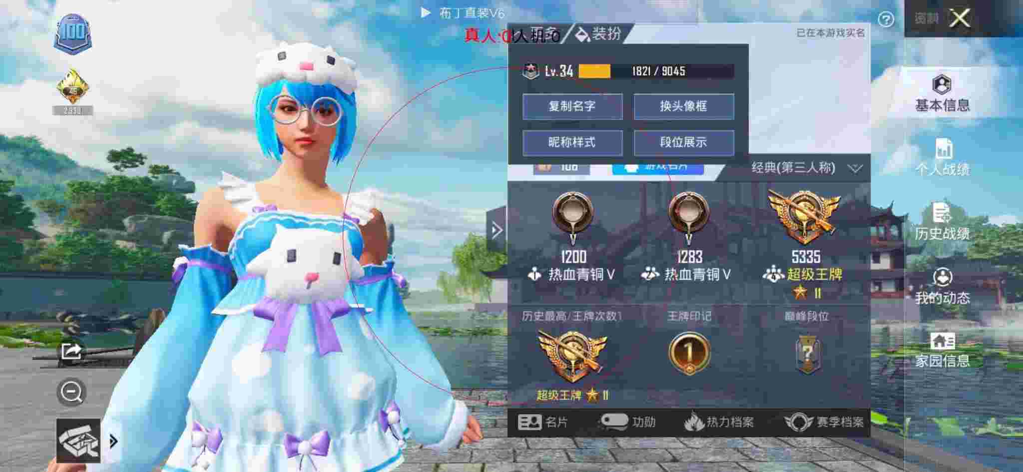和平精英布丁直装透视 - 美化包下载教程和平精英免费辅助预览图